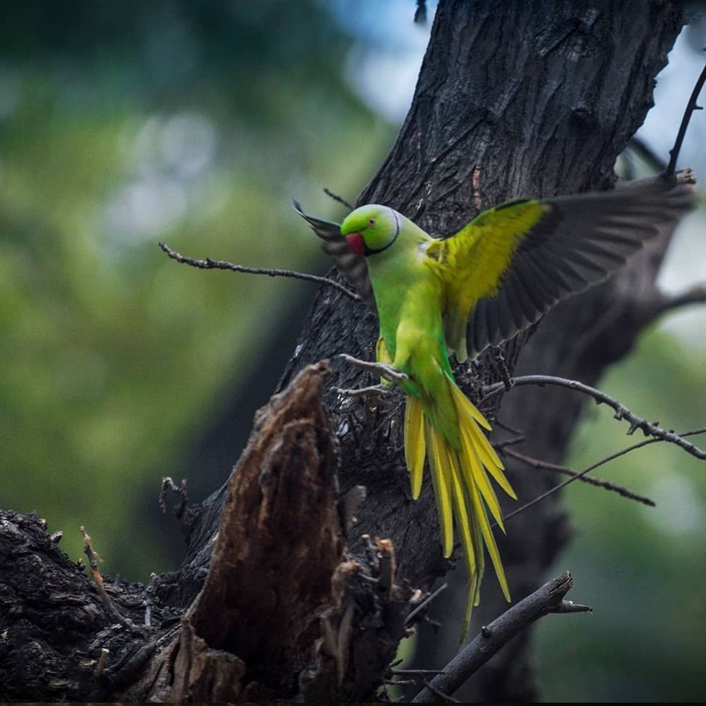 Photograph by Amit Kumar