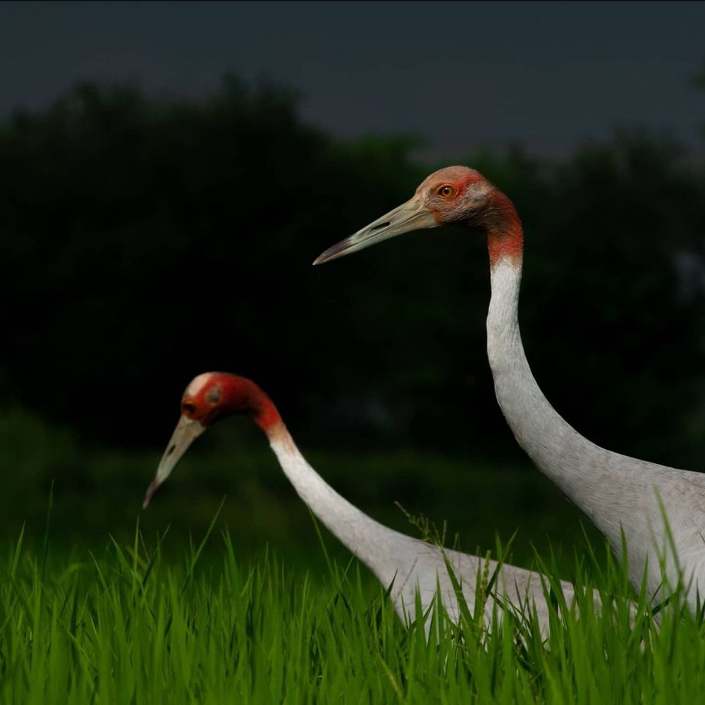 Photograph by Amit Kumar