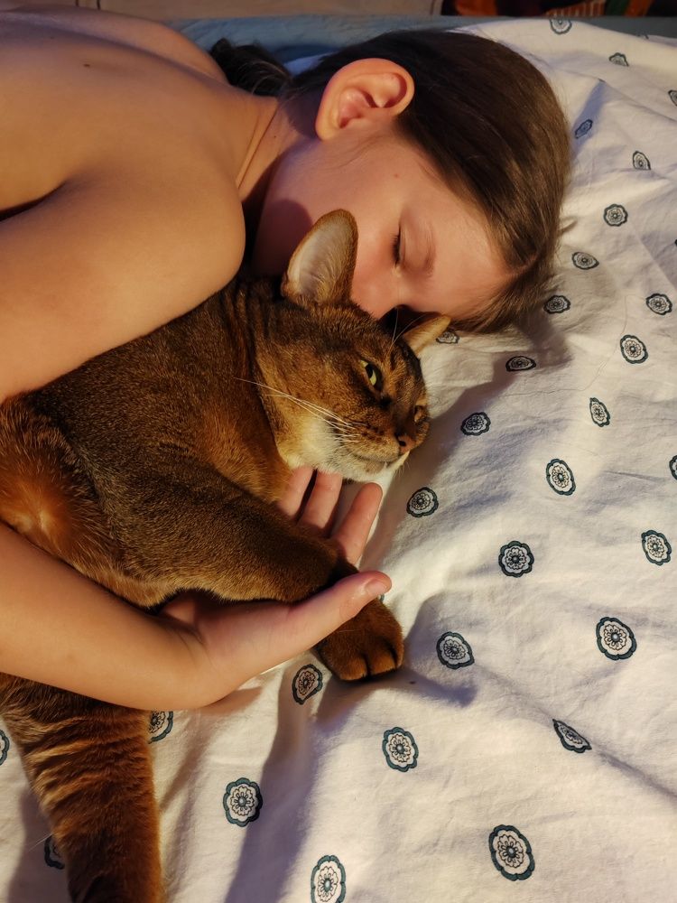 Фотография автора Татьяна Егорова