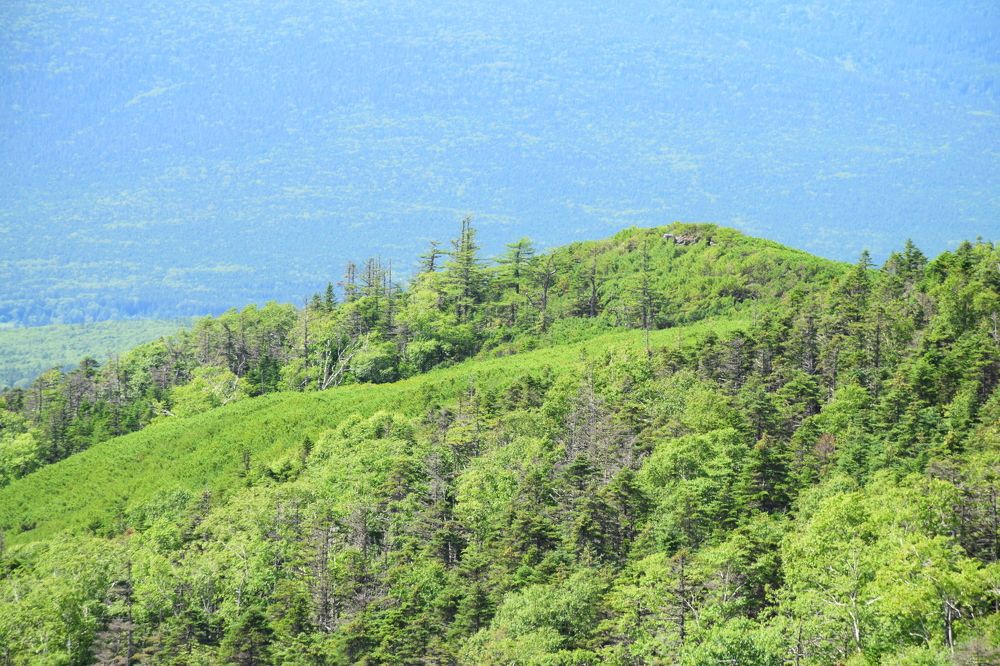 Photograph by Роман Блинов