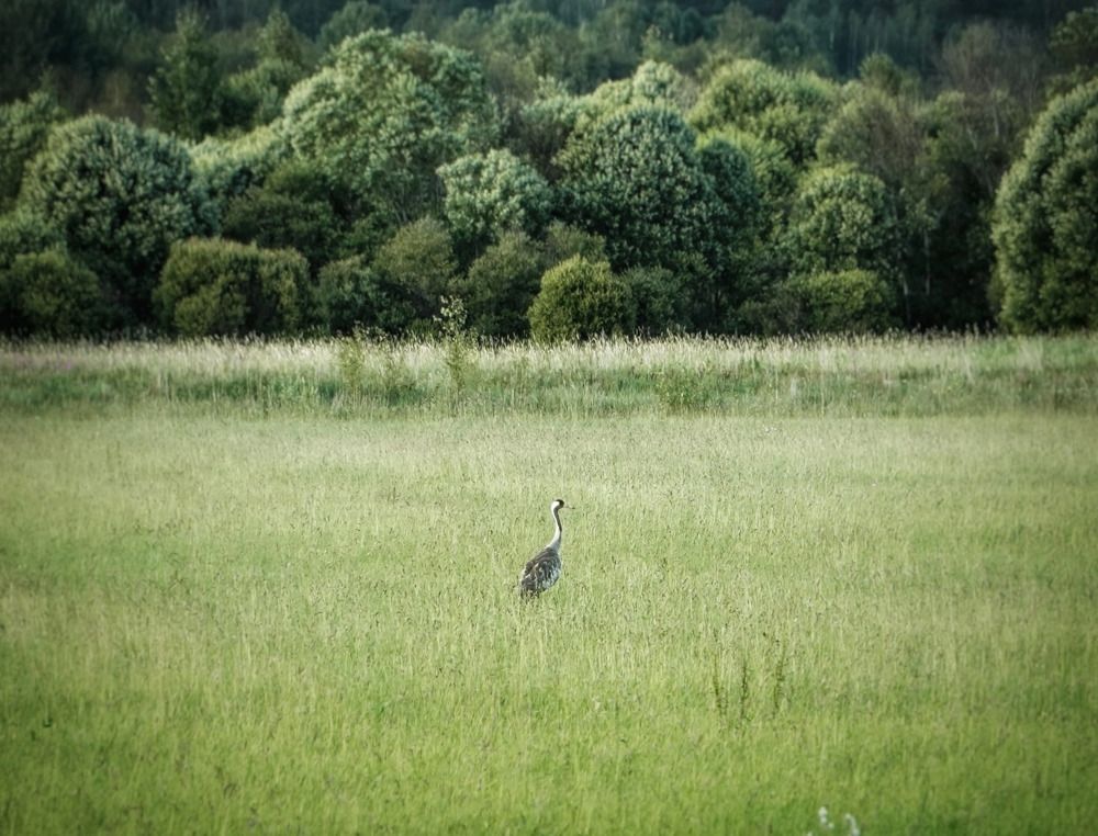 Photograph by Марина Безенкина