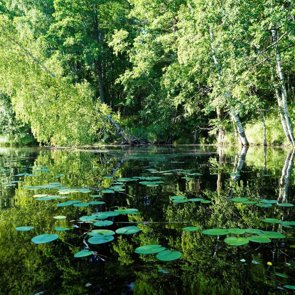 Photograph by Марина Безенкина