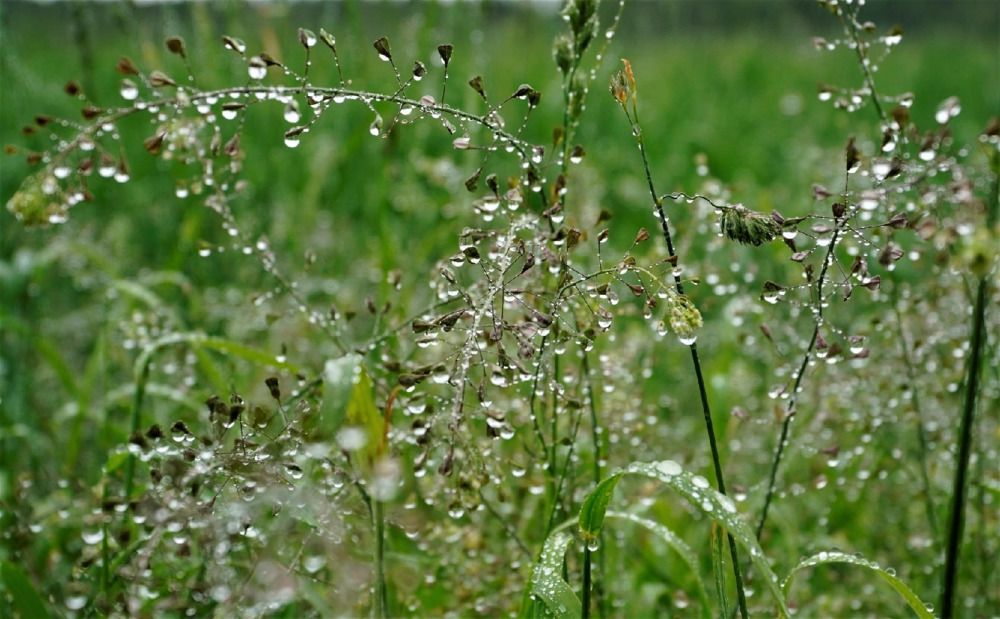 Photograph by Марина Безенкина