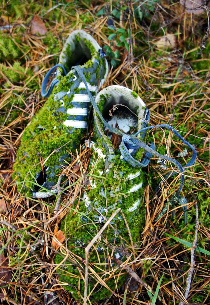 Находка в лесу