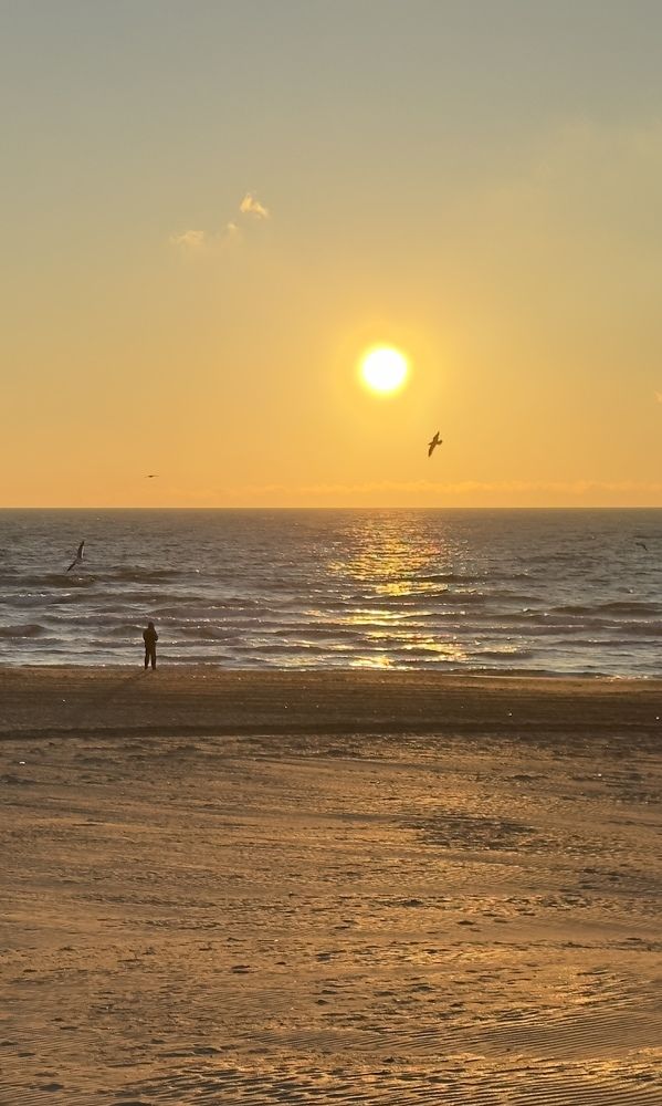 Фотография автора Олег Васильев