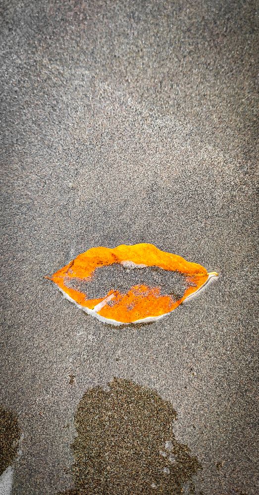 Photograph by Ehsan Fathi