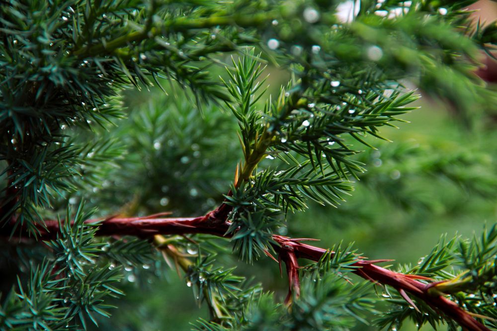 Photograph by Громова Мария