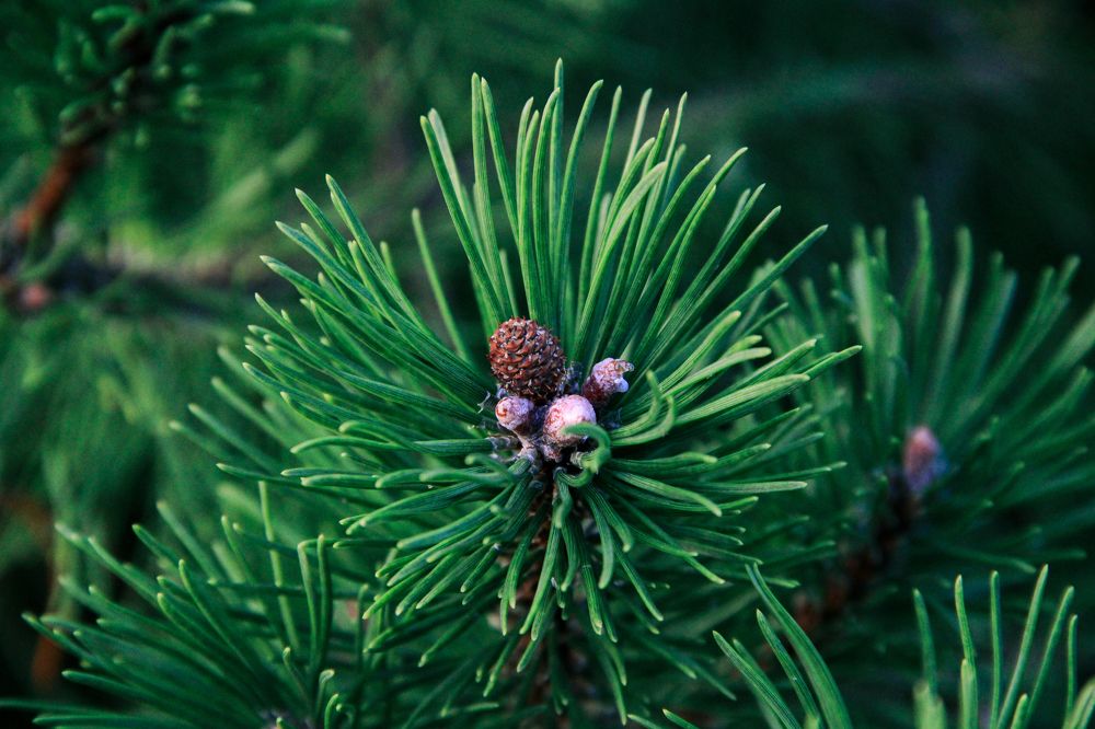 Photograph by Громова Мария