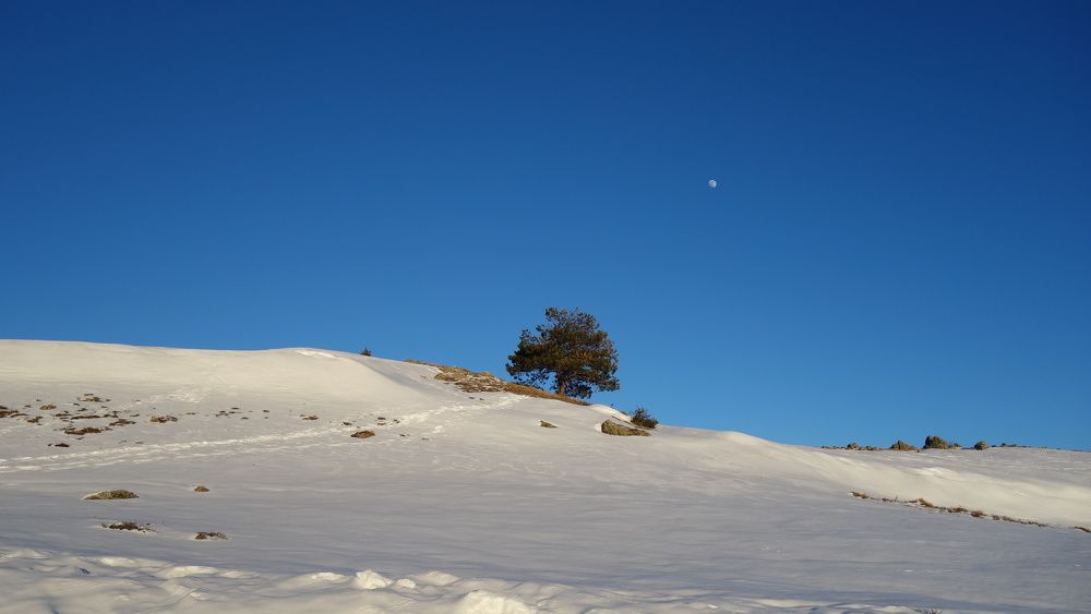 Фотография автора Liliana C.