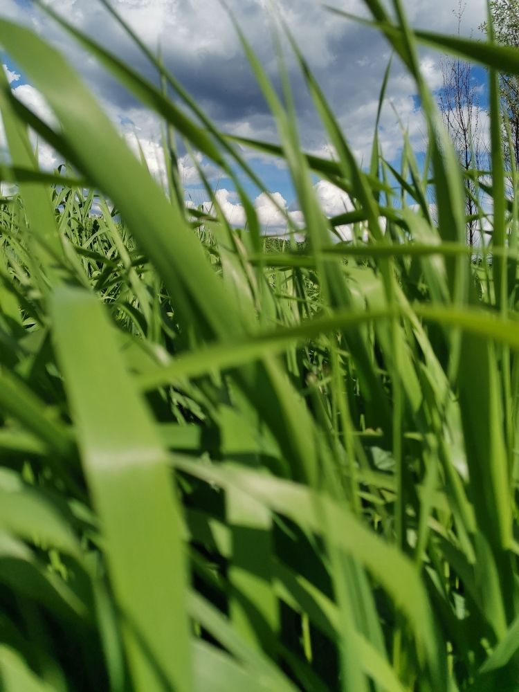 Photograph by Татьяна Антипова