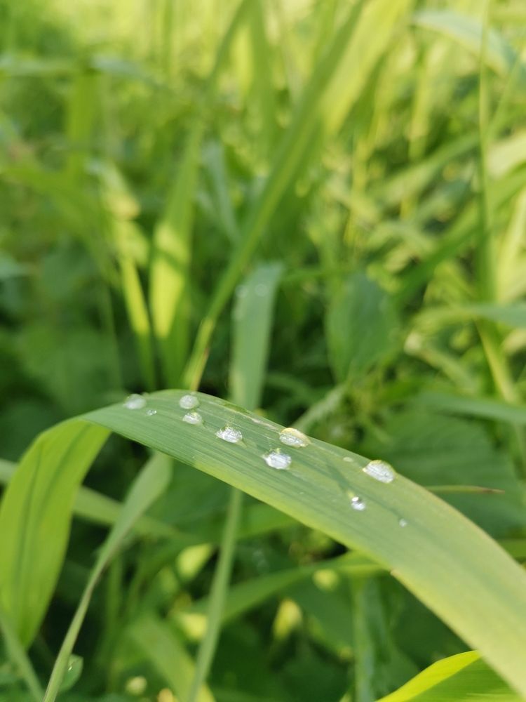 Photograph by Татьяна Антипова