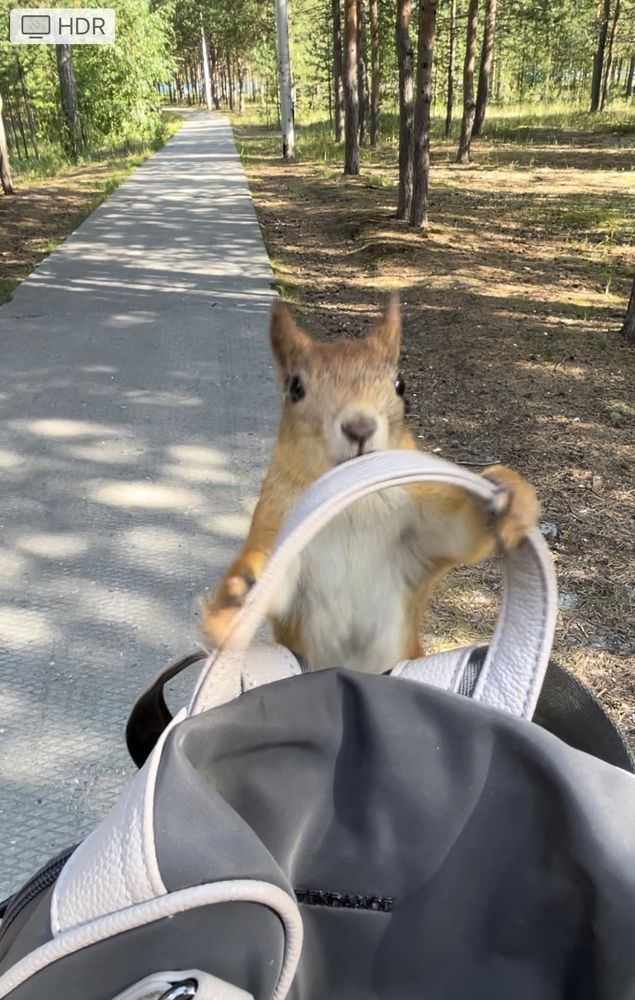 Photograph by Галина