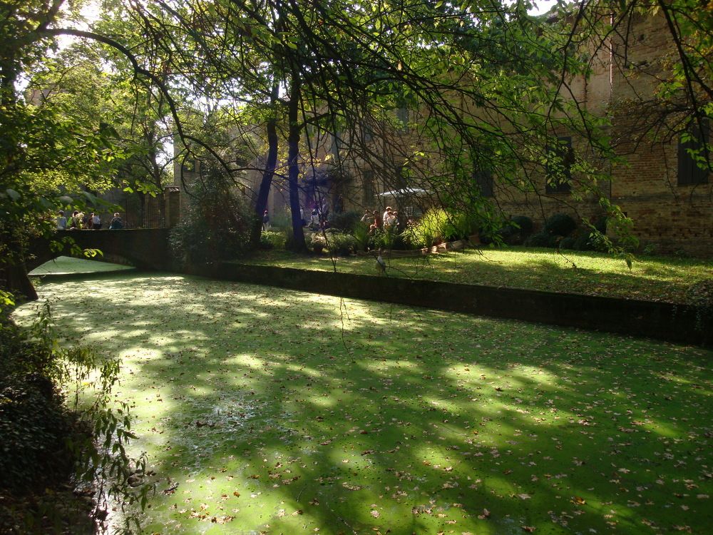 Фотография автора Liliana C.