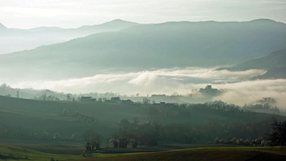 Фотография автора Liliana C.