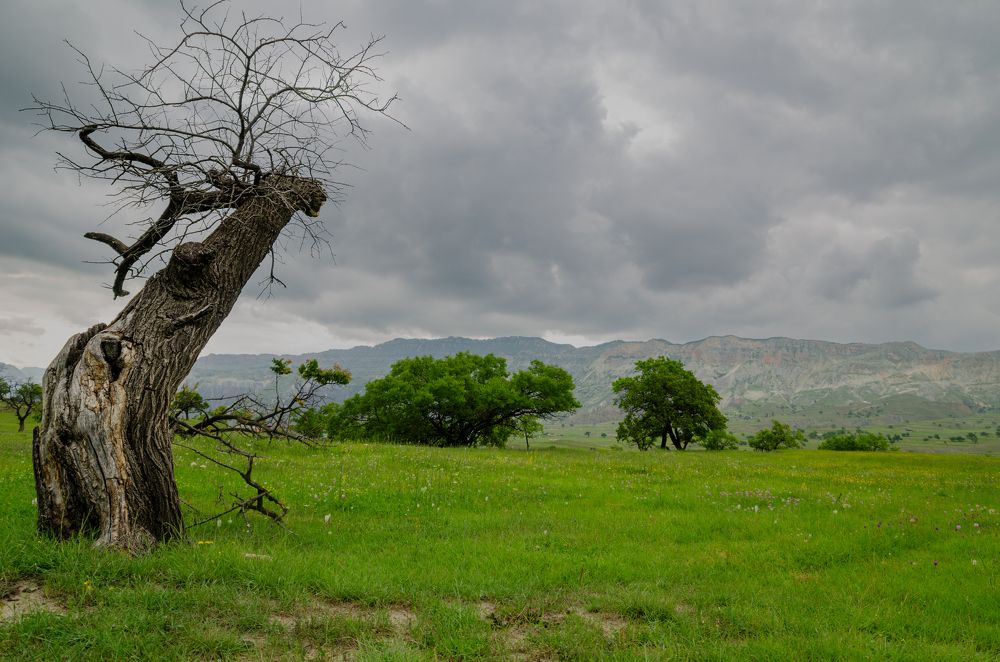 Photograph by Oksana Kuzmina