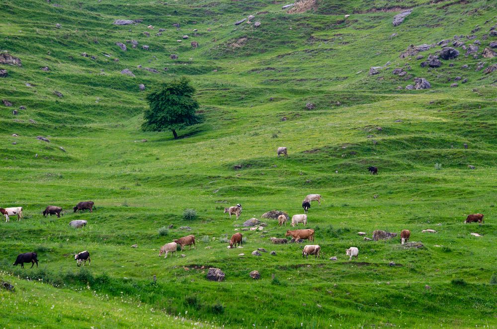 Photograph by Oksana Kuzmina