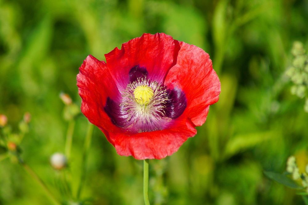 Фотография автора Jevgeni Filimonov