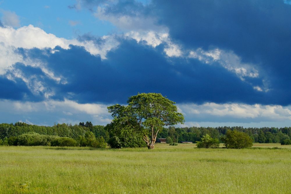 Фотография автора Jevgeni Filimonov