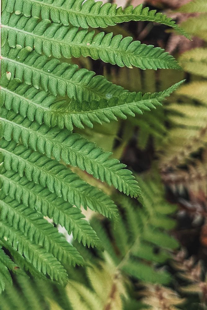 Photograph by Мария Петрова