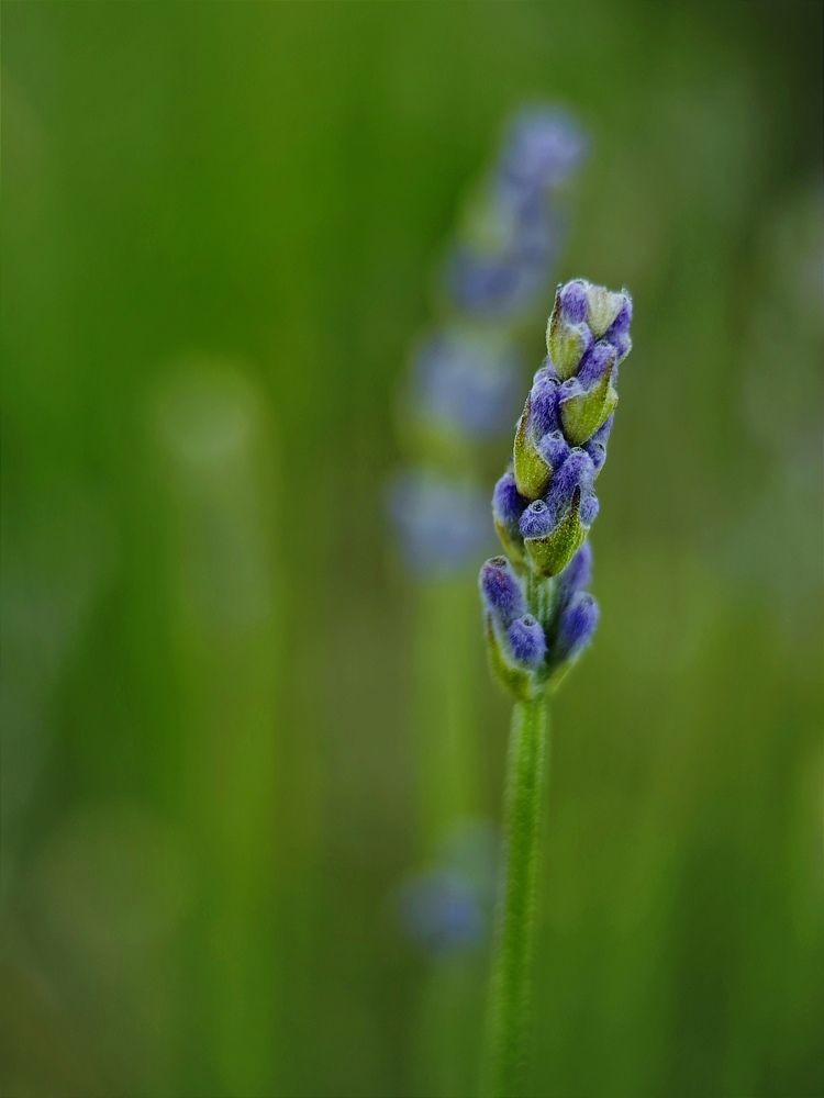 Photograph by Александра Шилова