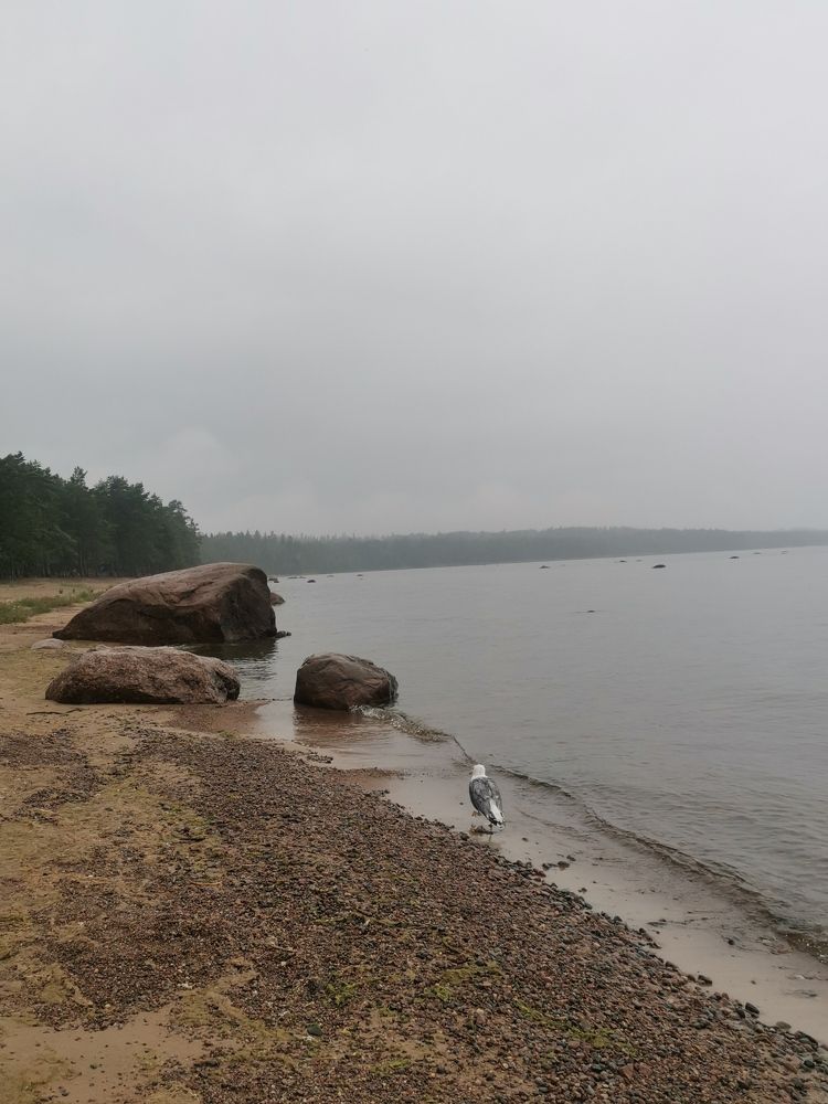 Photograph by Татьяна Антипова