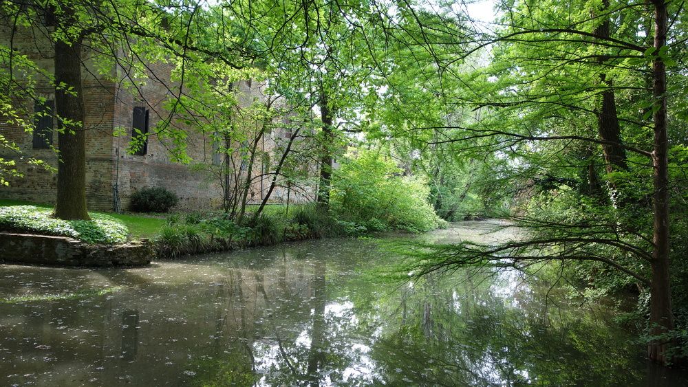 Фотография автора Liliana C.