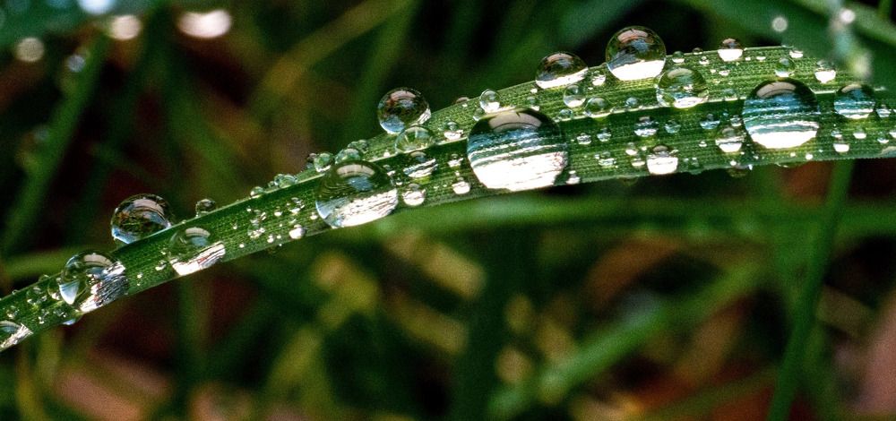 Photograph by Ольга Чибисова