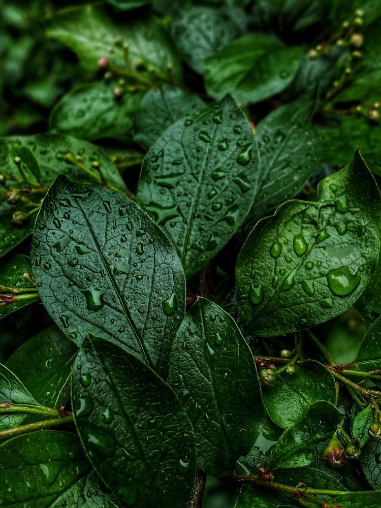 Photograph by Anastasia Astakhova