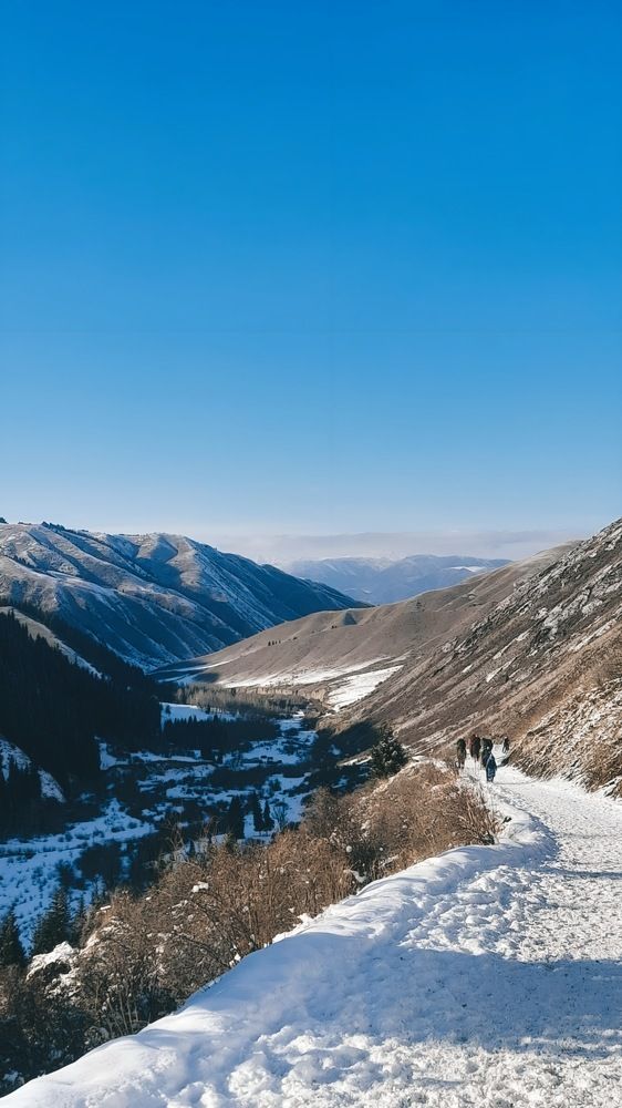 Фотография автора Анна Морозова