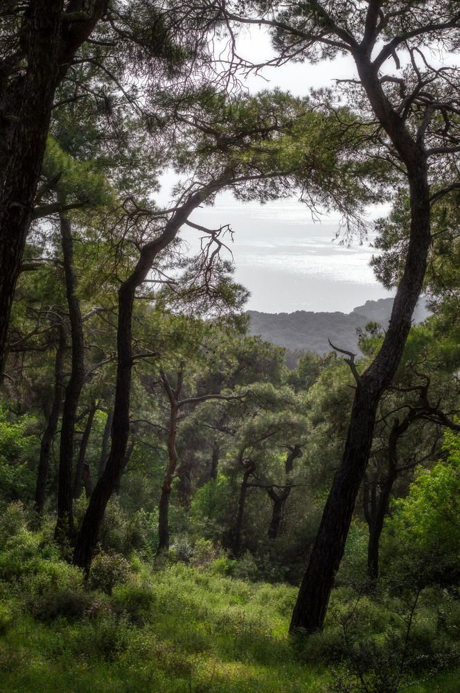 Photograph by Полина Хрол