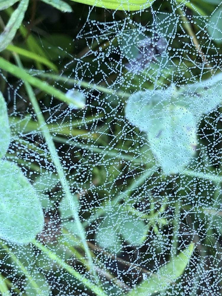 Фотография автора Светлана Гончарова