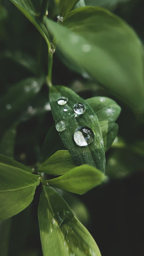 Фотография автора Анна Морозова