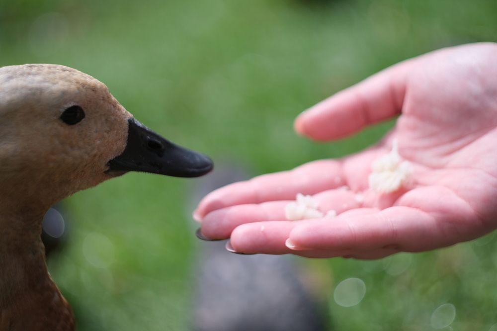 Photograph by Pavel Statsenko