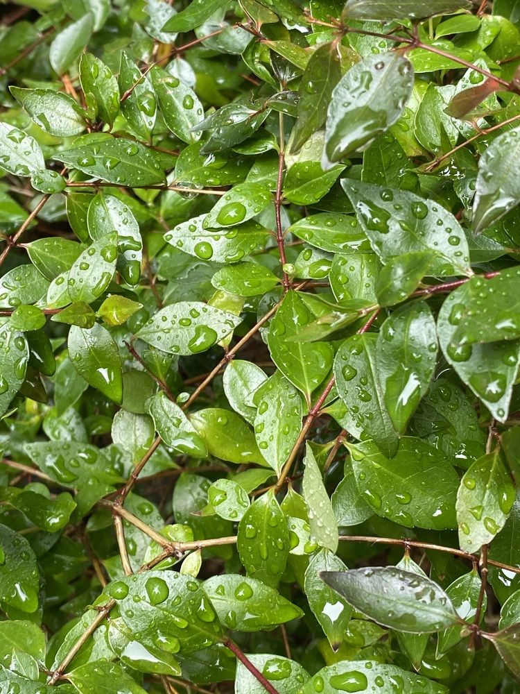 Фотография автора Бакалова Ирина