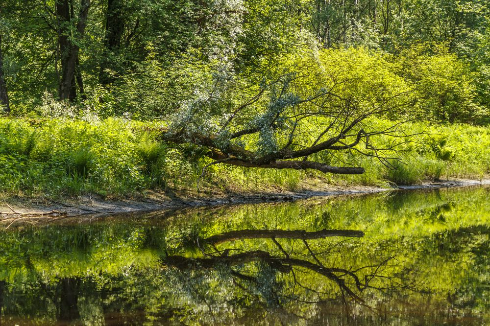 Photograph by Pavel Gukov