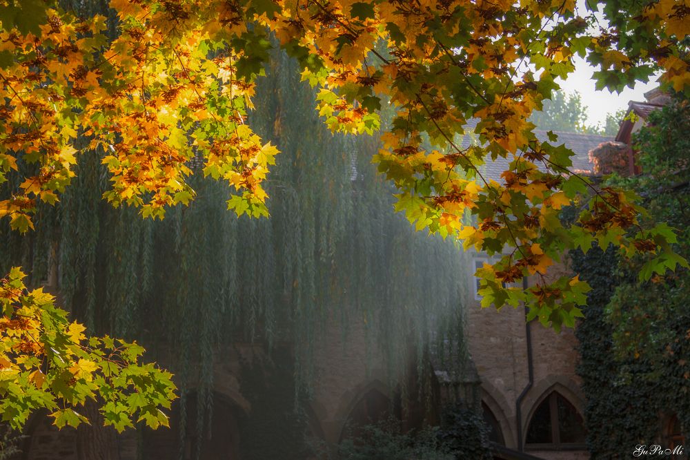 Photograph by Pavel Gukov