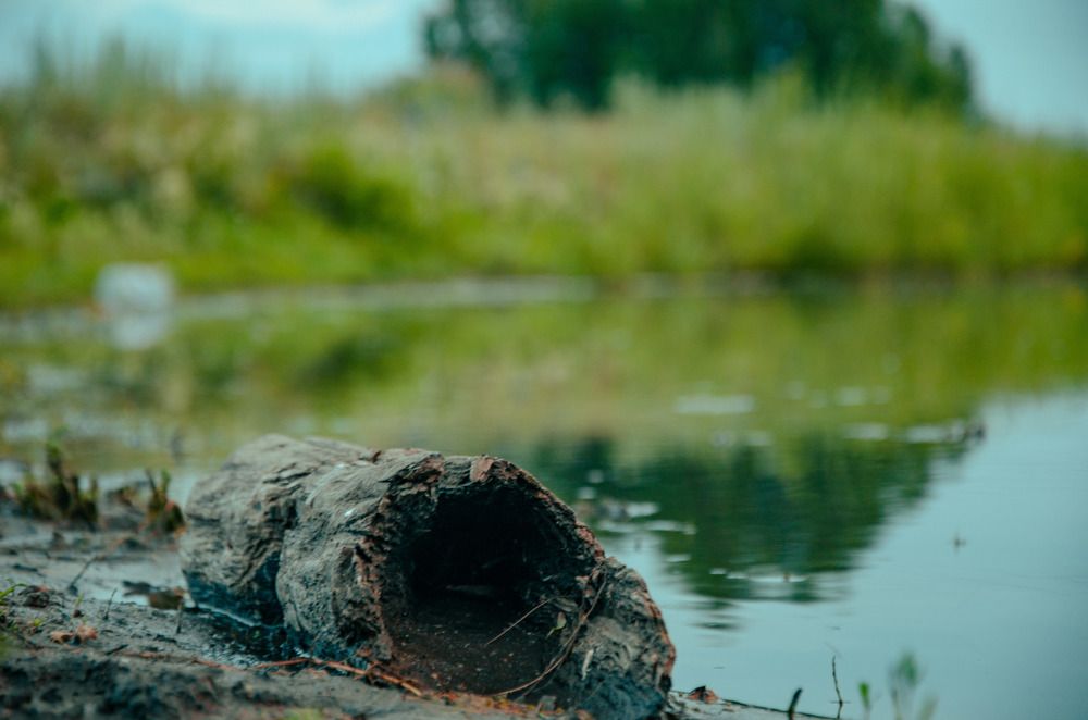 Фотография автора Крутяков Арсений