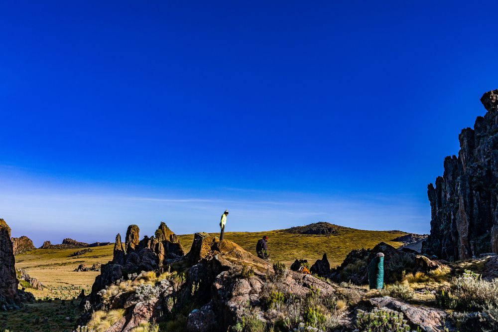 Photograph by Trivet Antony