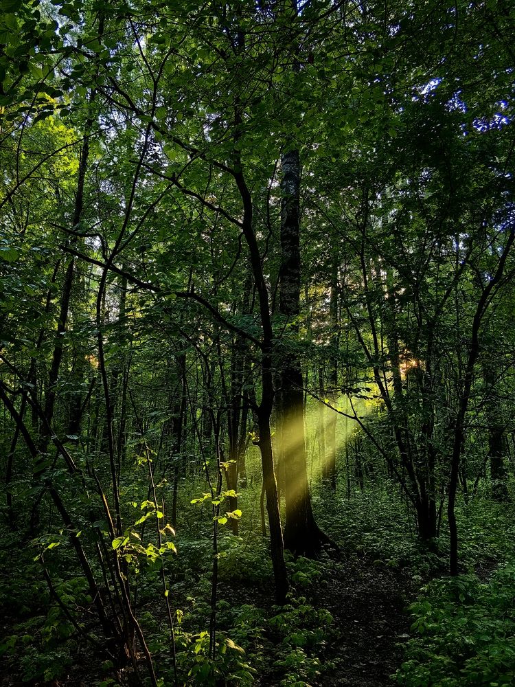 Photograph by Ярославна