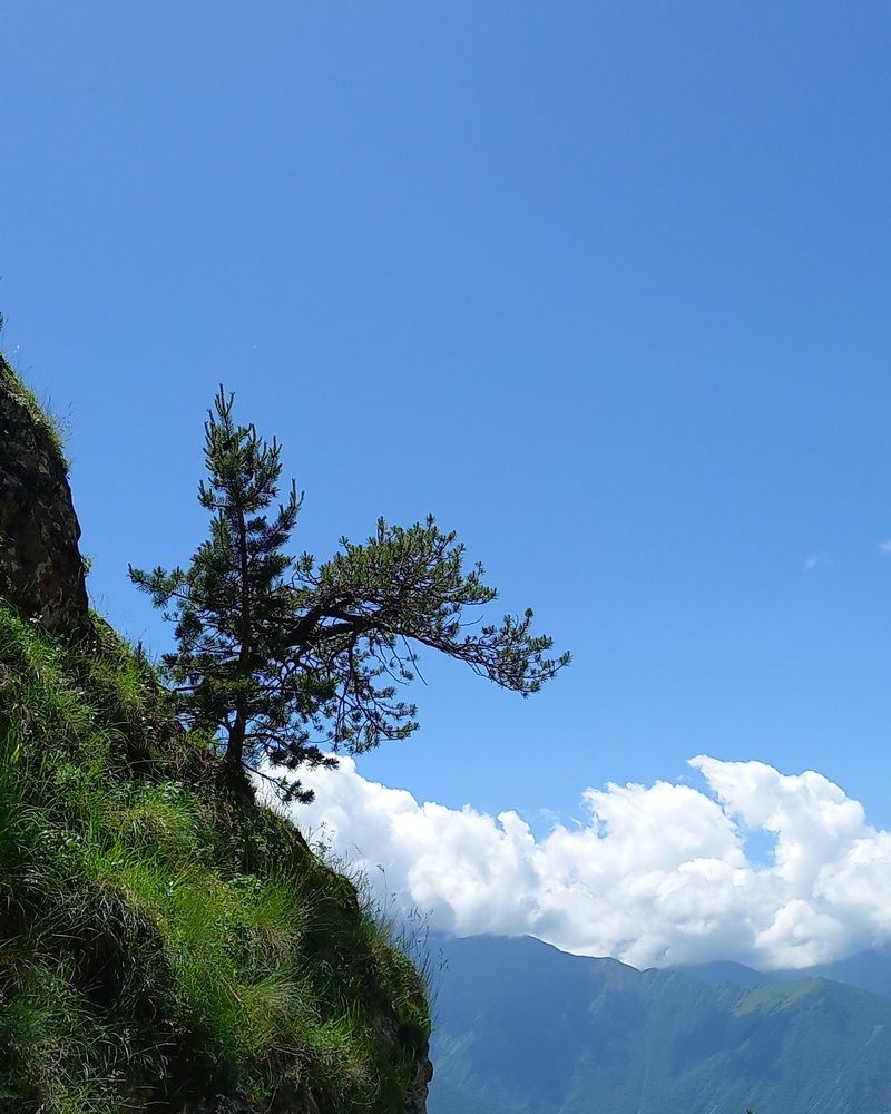 Photograph by Людмила Сотникова