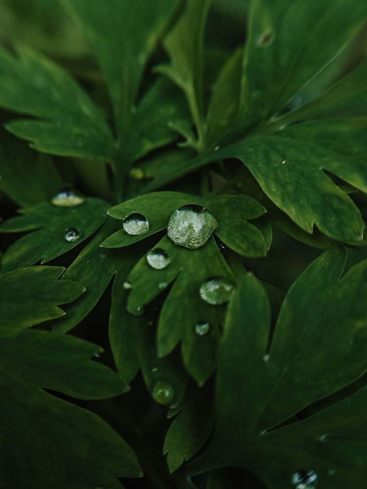 Фотография автора Мария Михайлова