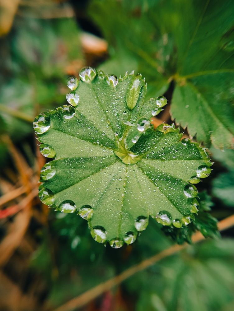 Фотография автора Мария Михайлова