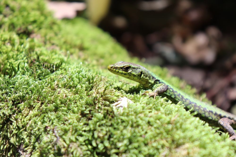 Photograph by Елена Иванкина