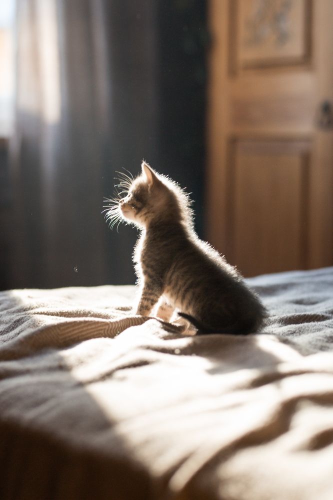 Photograph by Олеся Бакалина