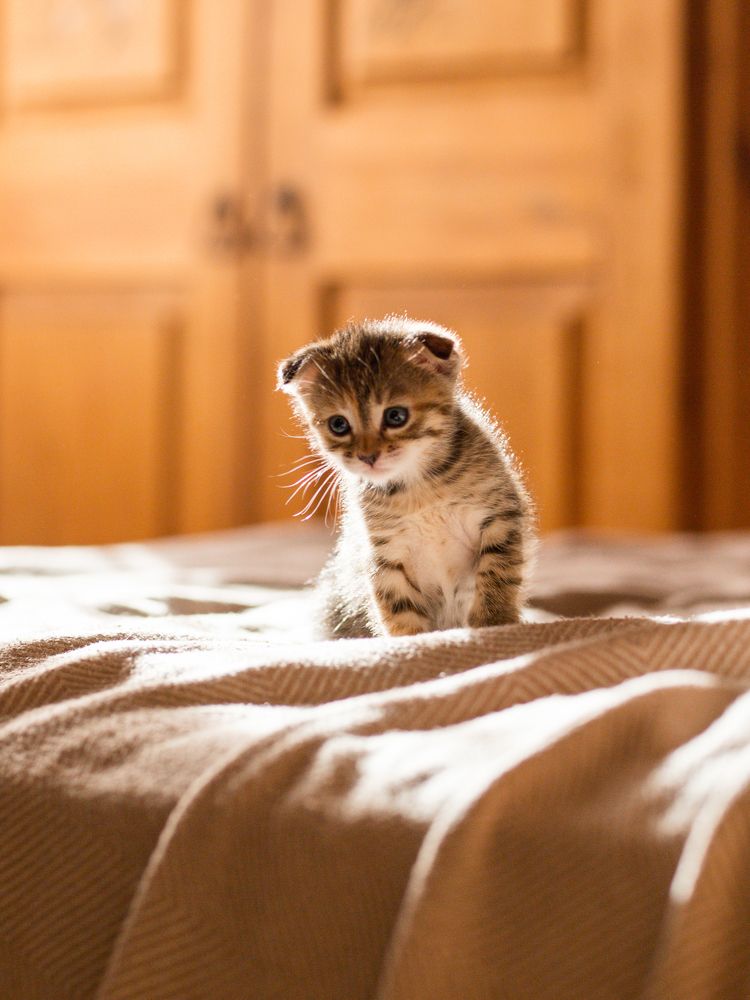 Photograph by Олеся Бакалина