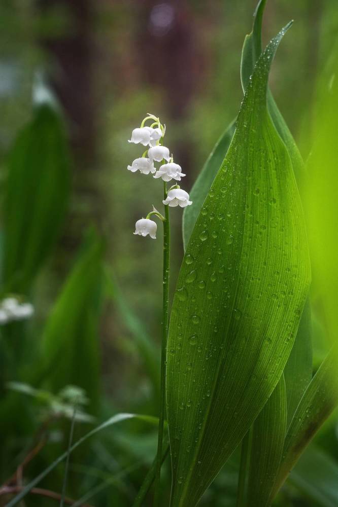 Photograph by Соколова Елена