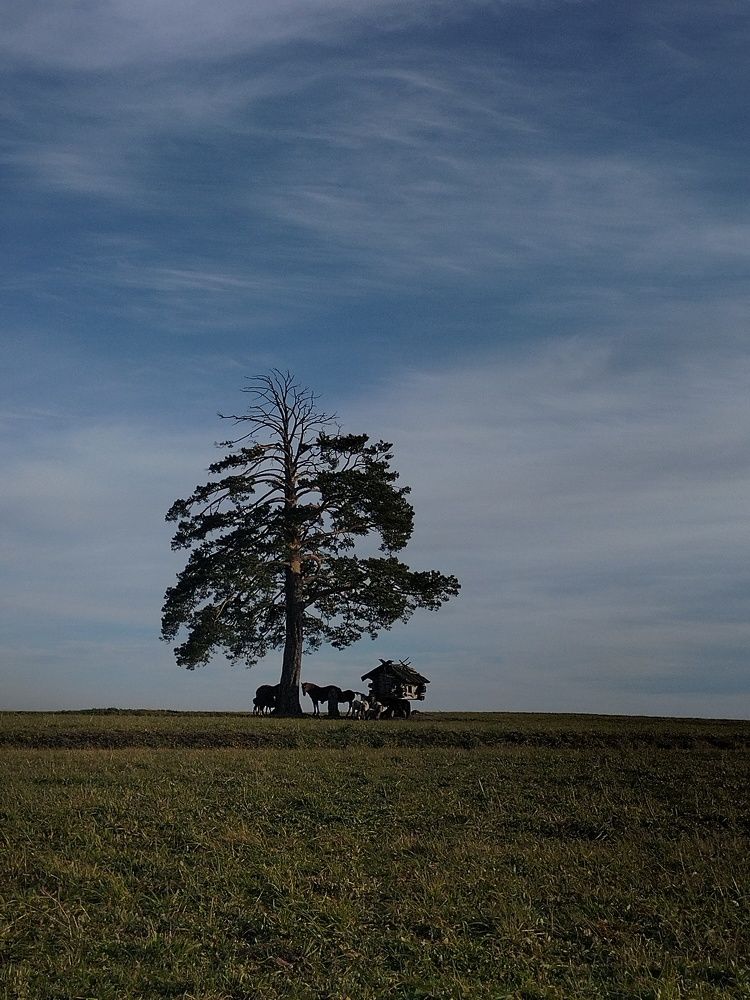 Фотография автора Максим Гафнер