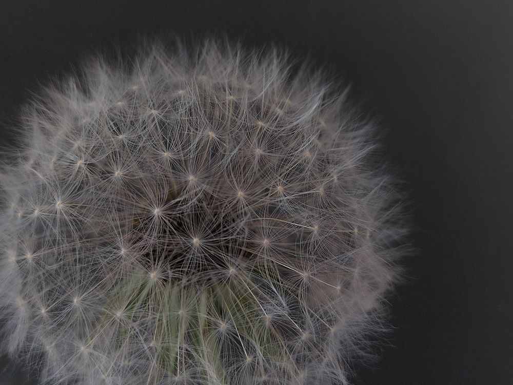 Фотография автора Максим Гафнер