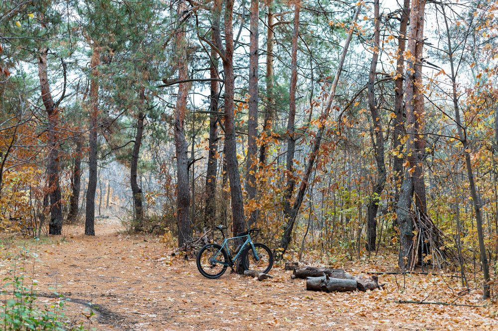 Photograph by Григорий