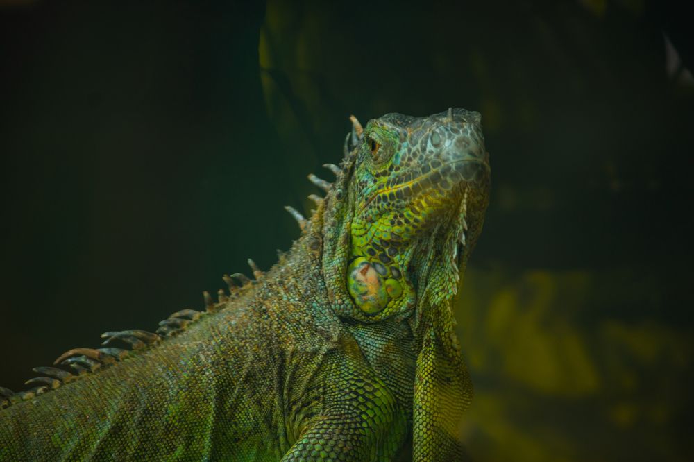 Photograph by Ayush Tripathi